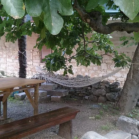 Holiday Tonci Holiday home